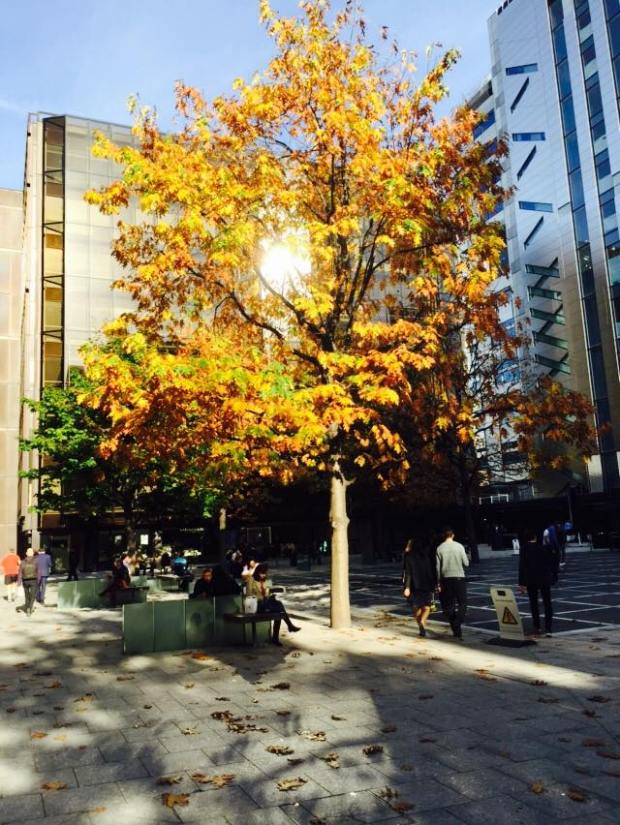 10411083_10152803291826950_4909424249336323382_n